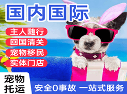 大水泊机场空运国际宠物托运 【国
